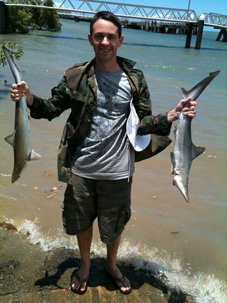 Sharks at Port Alma